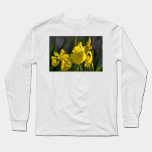 Yellow Flag Iris Long Sleeve T-Shirt